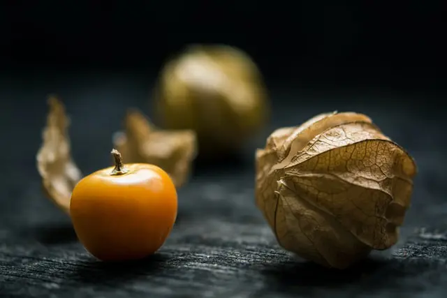 What is Premature Ejaculation: All You Need to Know 5 gooseberry