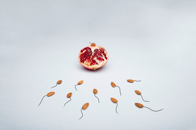 sperm quality