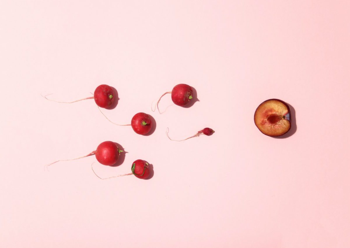 dainis graveris VNo560ePOSU unsplash
