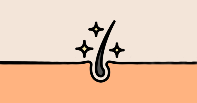 Hair Follicle: Function and Condition 10 Hair Follicle: